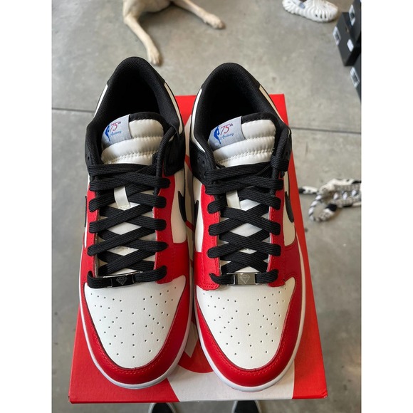 Jordan dunk low EMB Chicago SZ 10 main image 9